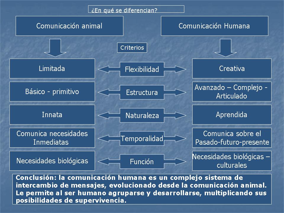 Diferencia Entre Comunicacion Animal Y Humana